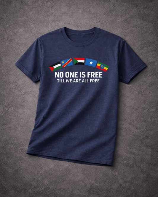 No One Is Free Till We Are All Free T-Shirt | Solidarity Statement Tee | The Noisy Immigrant x VibePop
