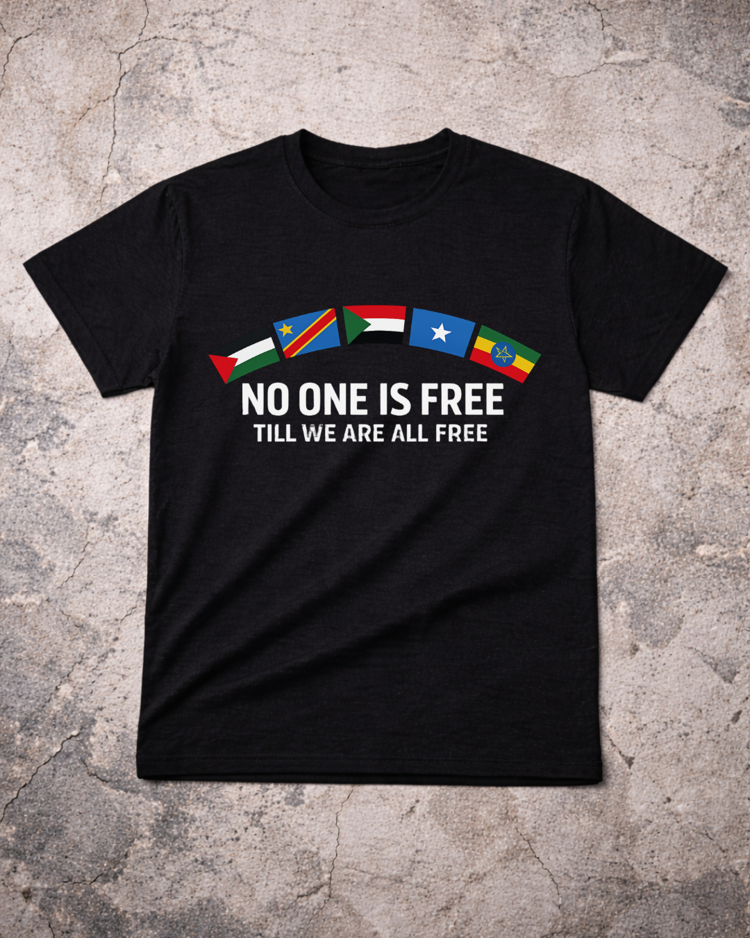 No One Is Free Till We Are All Free T-Shirt | Solidarity Statement Tee | The Noisy Immigrant x VibePop