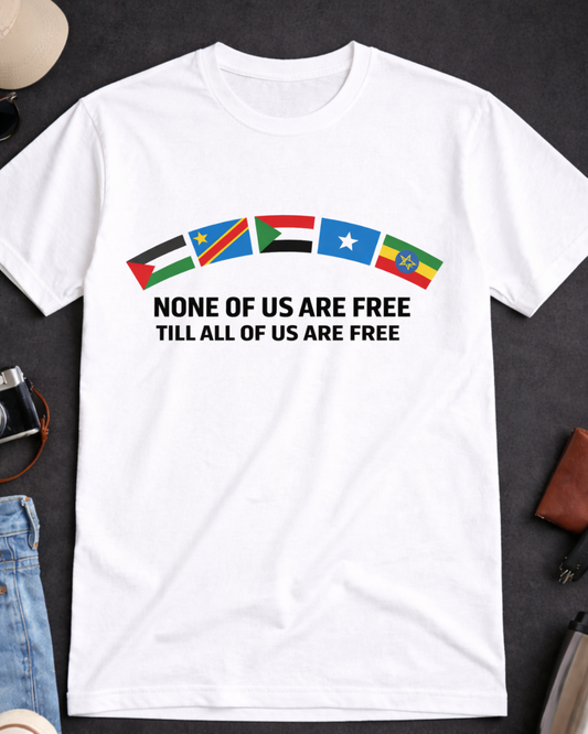 No One Is Free Till We Are All Free T-Shirt | Solidarity Statement Tee | The Noisy Immigrant x VibePop