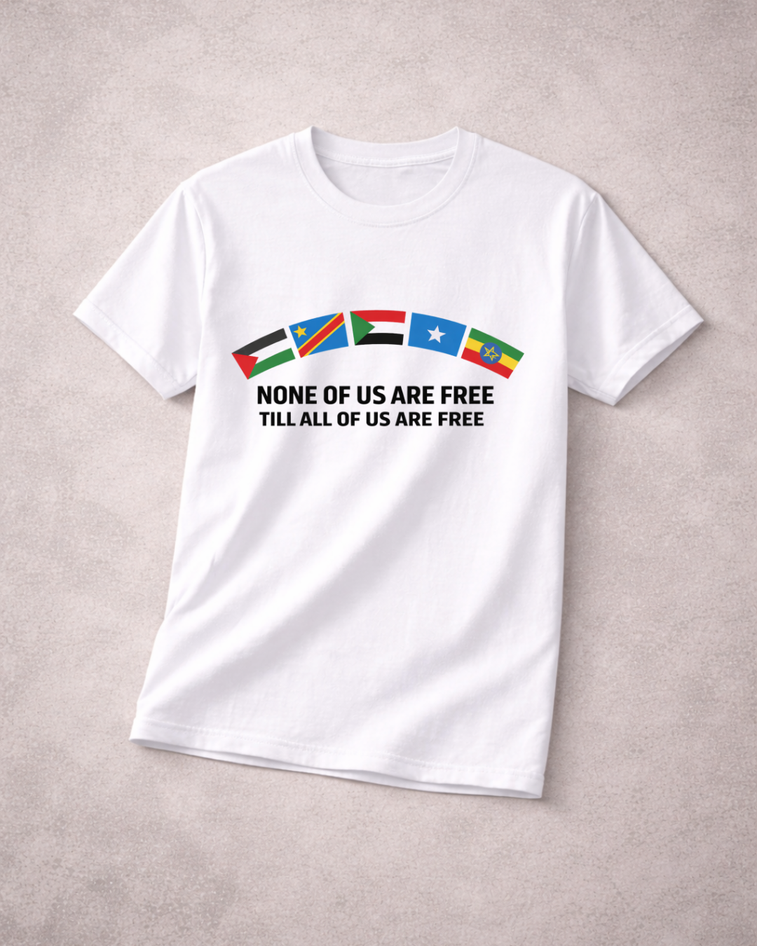 No One Is Free Till We Are All Free T-Shirt | Solidarity Statement Tee | The Noisy Immigrant x VibePop